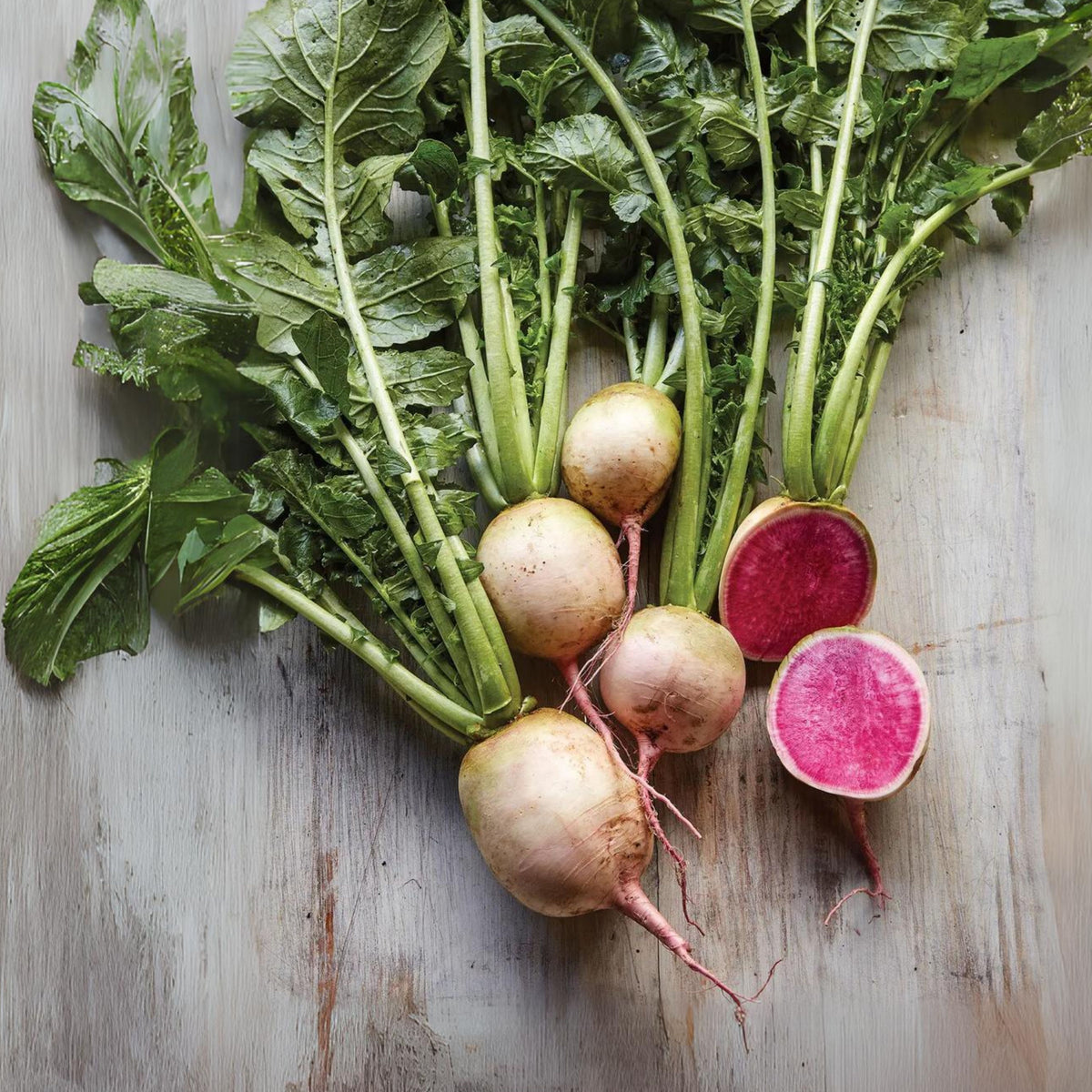 Red Radish Seeds Raphanus Sativus Fast Growing Root, 110 seeds