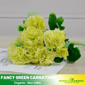 https://i.etsystatic.com/36812482/r/il/2727ef/6084506382/il_fullxfull.6084506382_5jh6.jpg