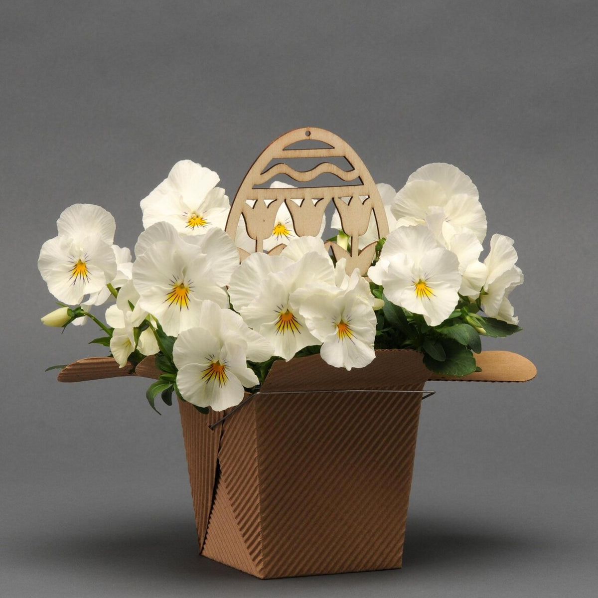 Cool Wave White Pansy seeds