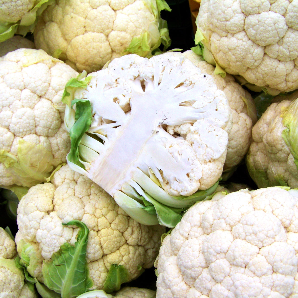 White Cauliflower seeds