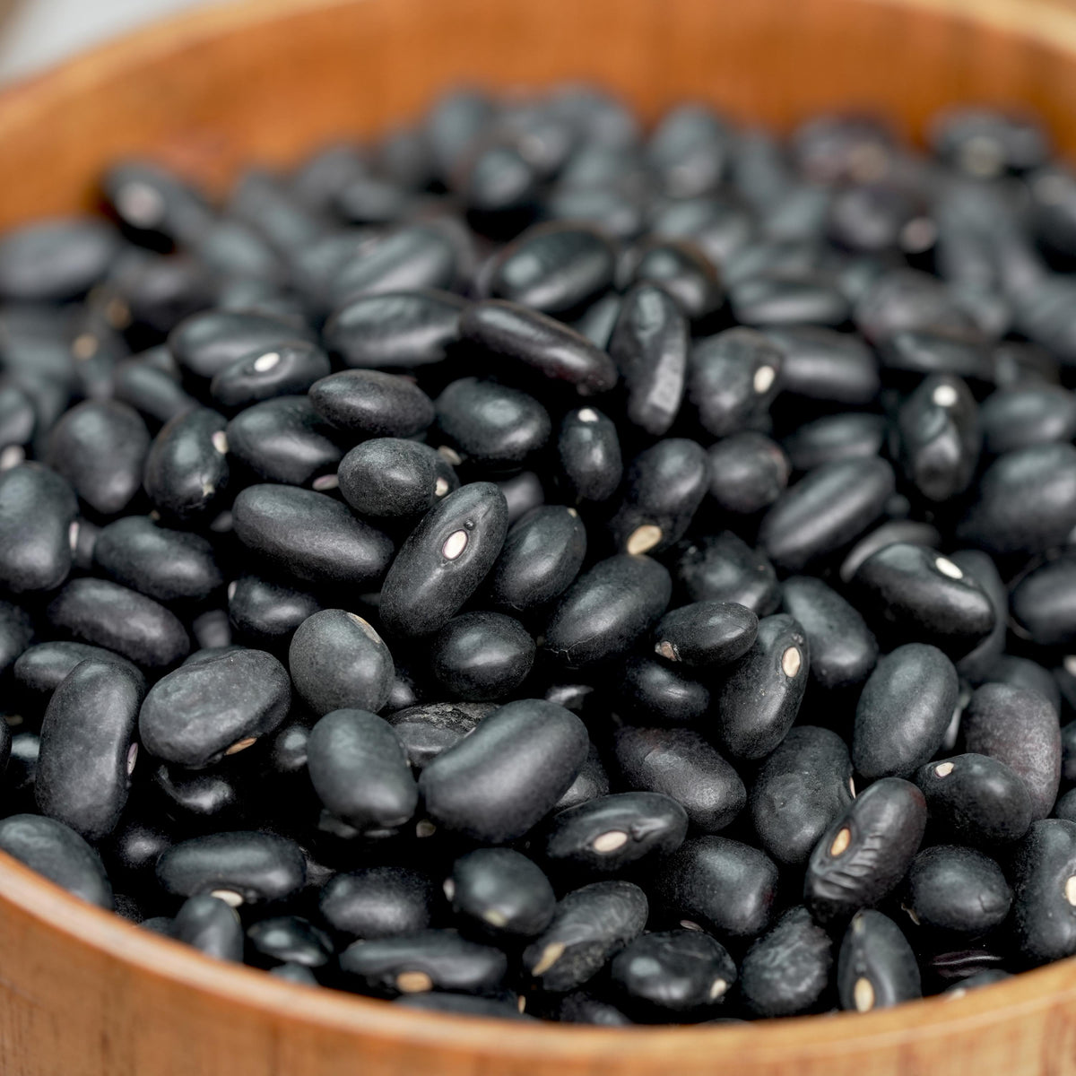 Black Bean seeds