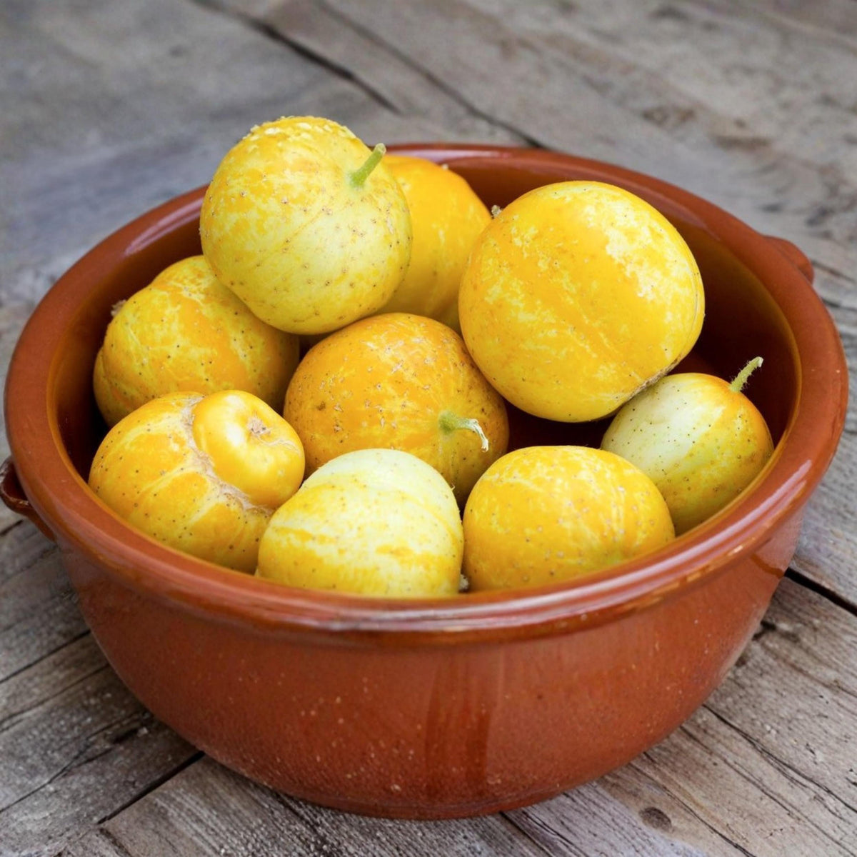 Lemon Cucumber seeds