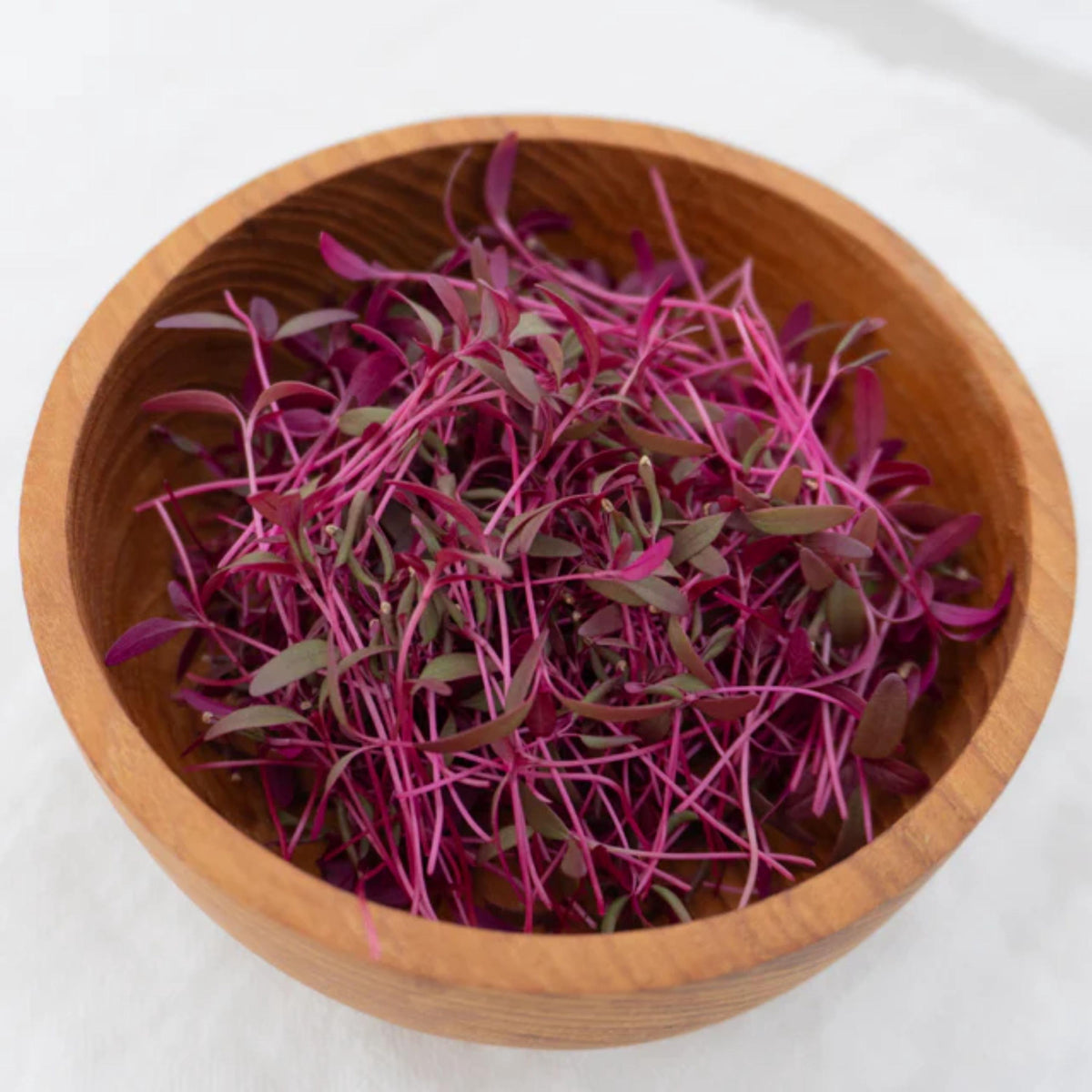 All Red Leaf Amaranth Microgreens seeds