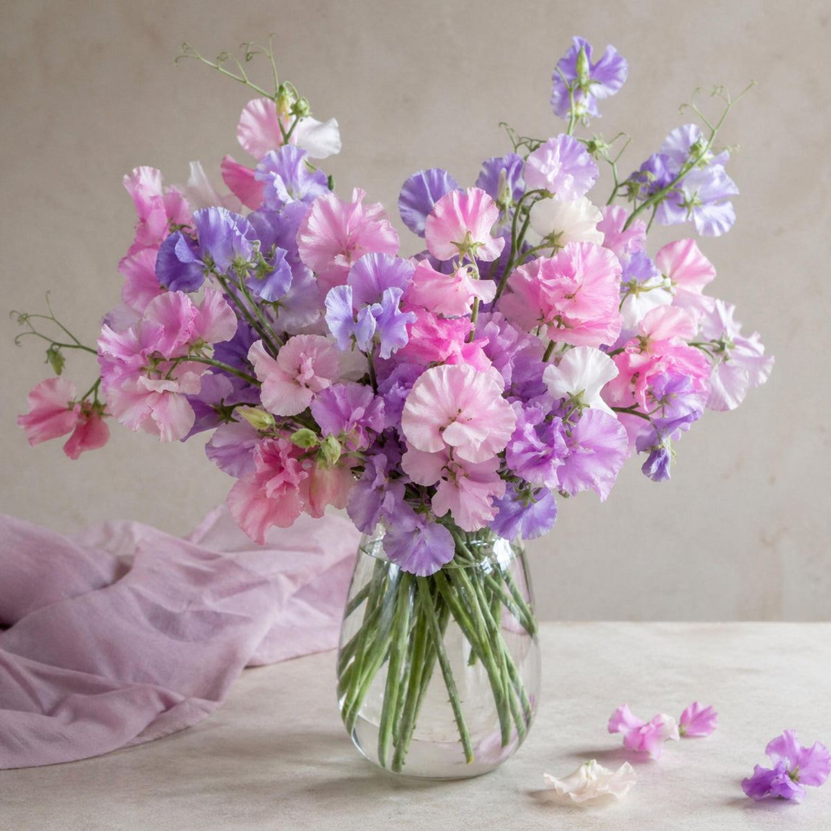 Fragrant Sweet Pea seeds