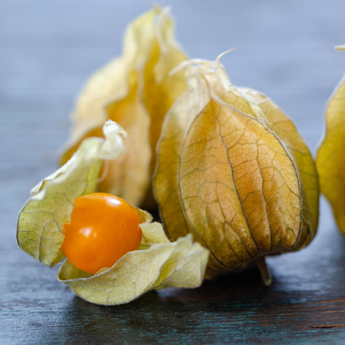 Cape Gooseberry seeds