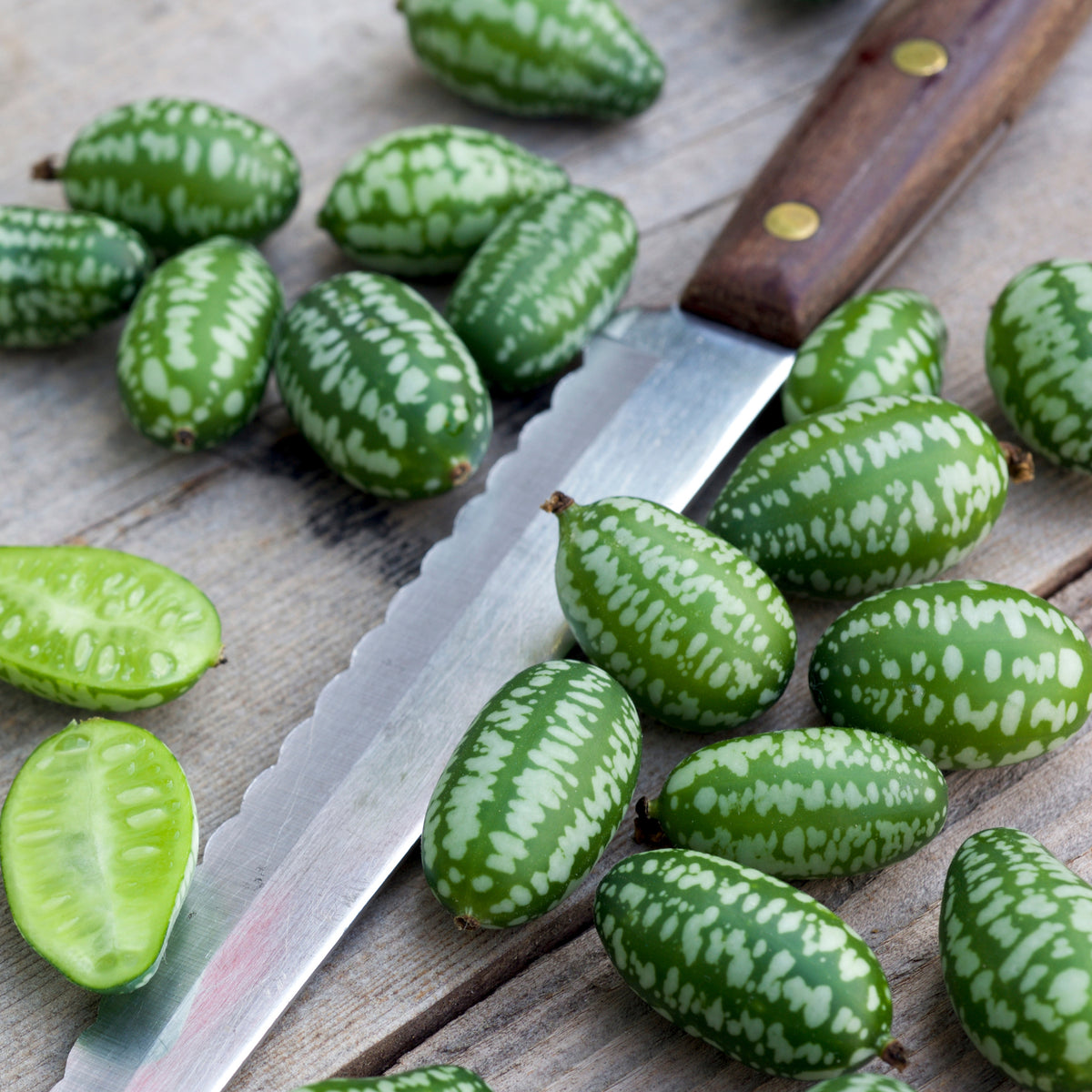 Cucamelon Seeds - Cold Resistant, Potted, 25+ seeds