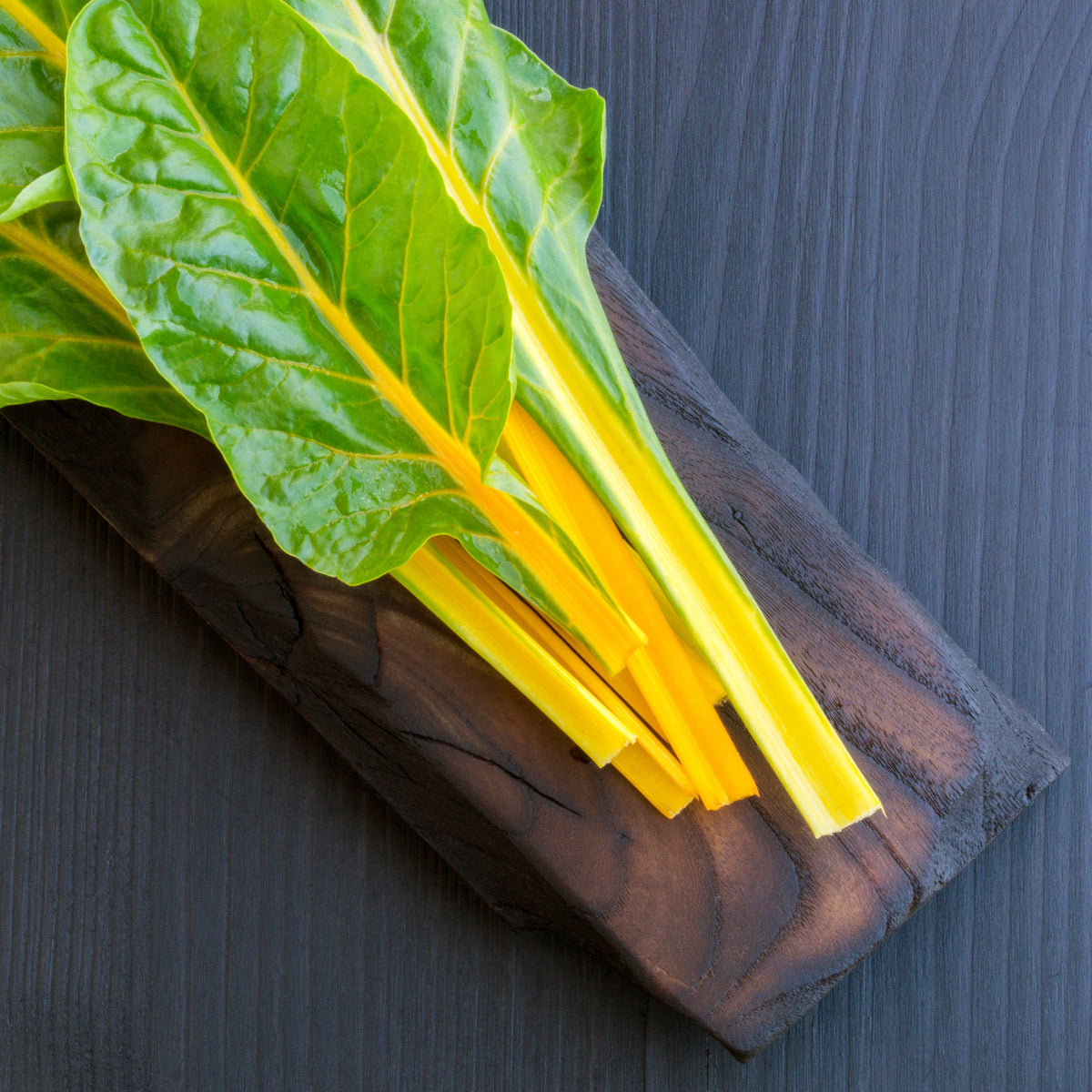 Golden Chard Seeds - Cold Resistant, Potted, 25+ seeds