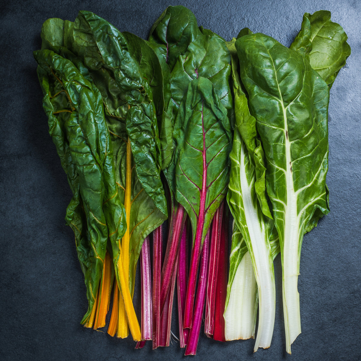 Swiss Chard Seeds - Rainbow Mixture Seeds, Cold Resistant, 25+ seeds