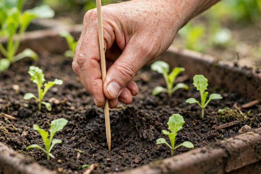 How to Check Soil Moisture: 6 Methods That Actually Work