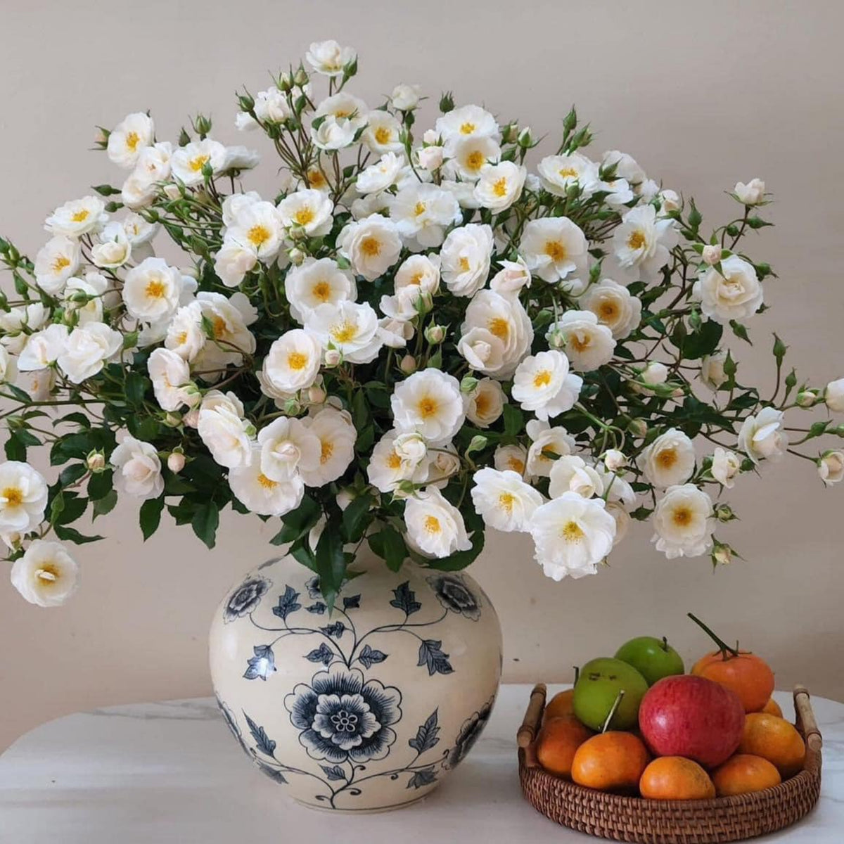 Friendship of Stranger Rose Seeds - 1155, 30+ seeds
