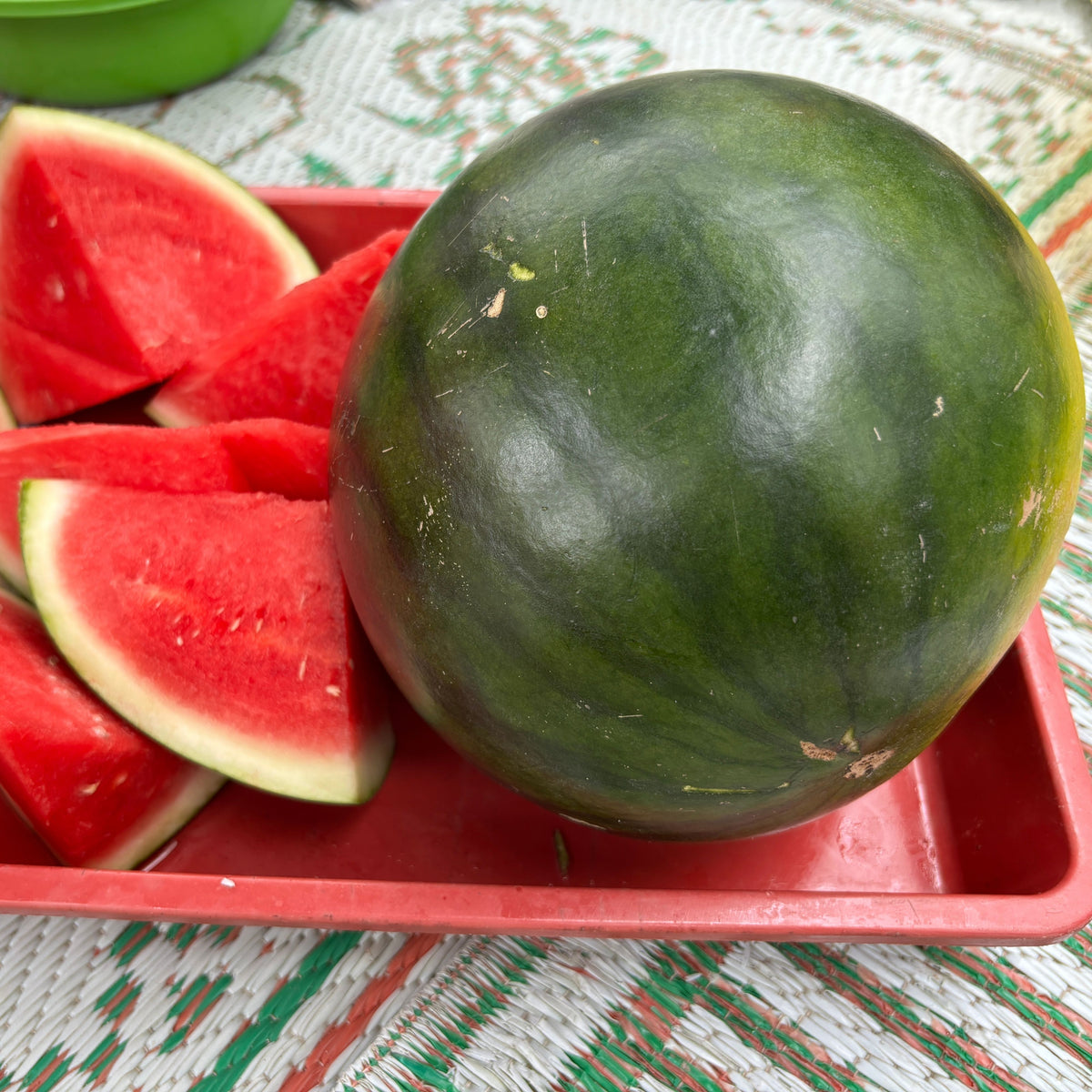 Sugar Baby Watermelon Seeds - Delicious Fruit, Perennial, 30 seeds
