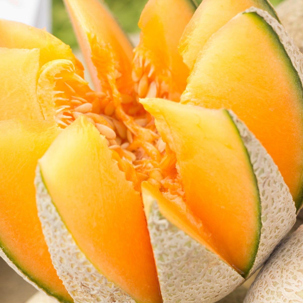 Cantaloupe Melon Seeds - Delicious Fruit, Perennial, 25 seeds