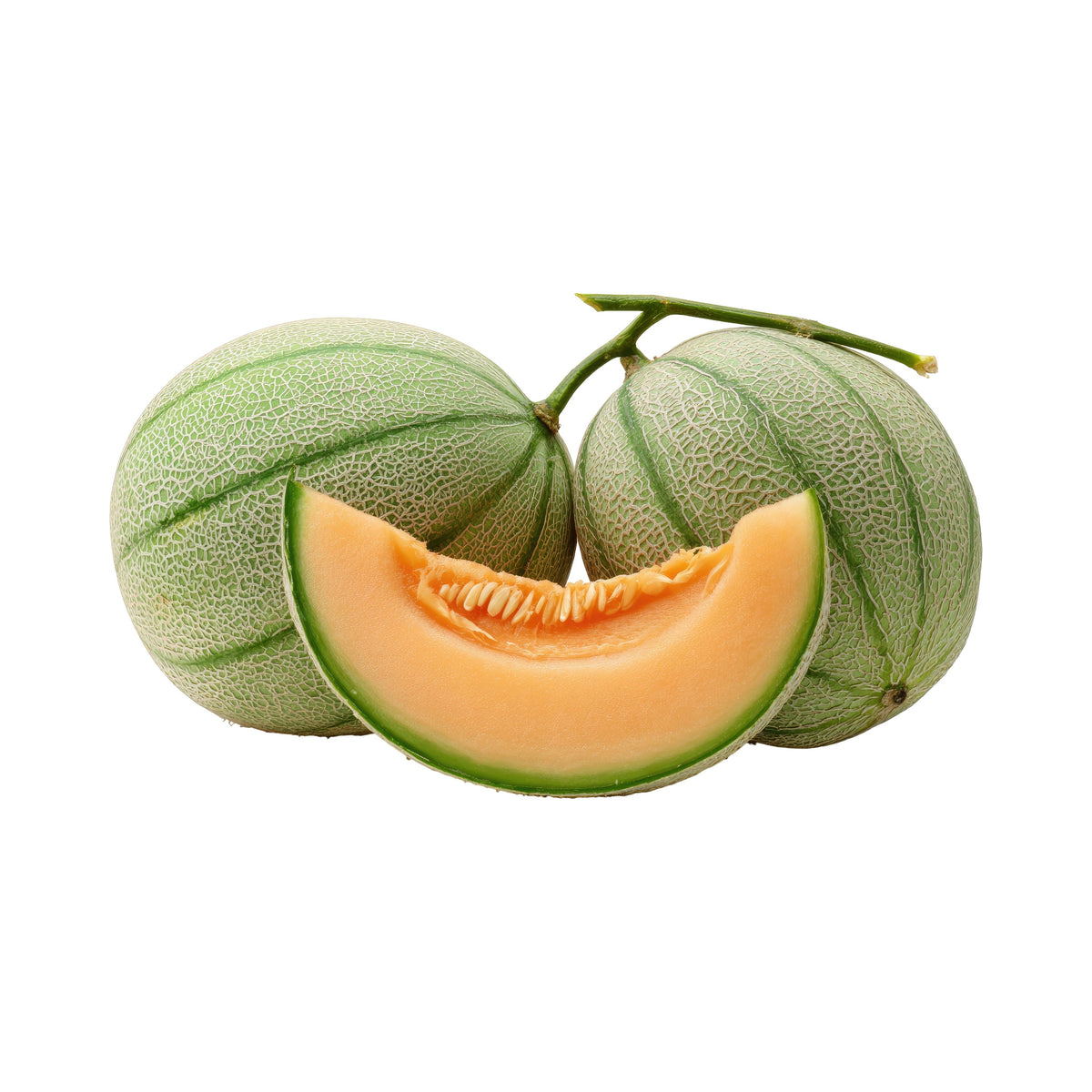 Planter's Cantaloupe Melon Seeds - Delicious Fruit, 30 seeds