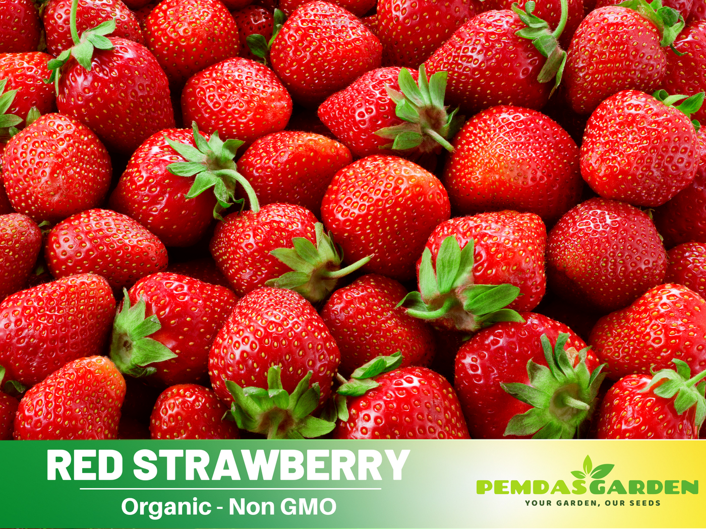 red strawberry seeds 110 seeds| Red Strawberry Seeds – Delicious Fruit, Easy to Grow, Peren – PEMDASGARDEN