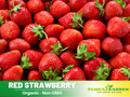 110 seeds| Red Strawberry Seeds – Delicious Fruit, Easy to Grow, Perennial, Garden & Container Plant, Pollinator Friendly, Non-GMO, Heirloom Variety#5006