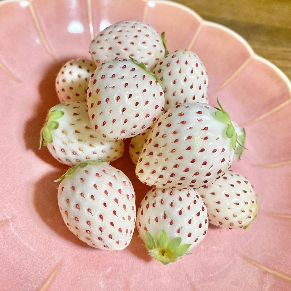 White Strawberry Seeds - Delicious Fruit, Perennial, 110 seeds
