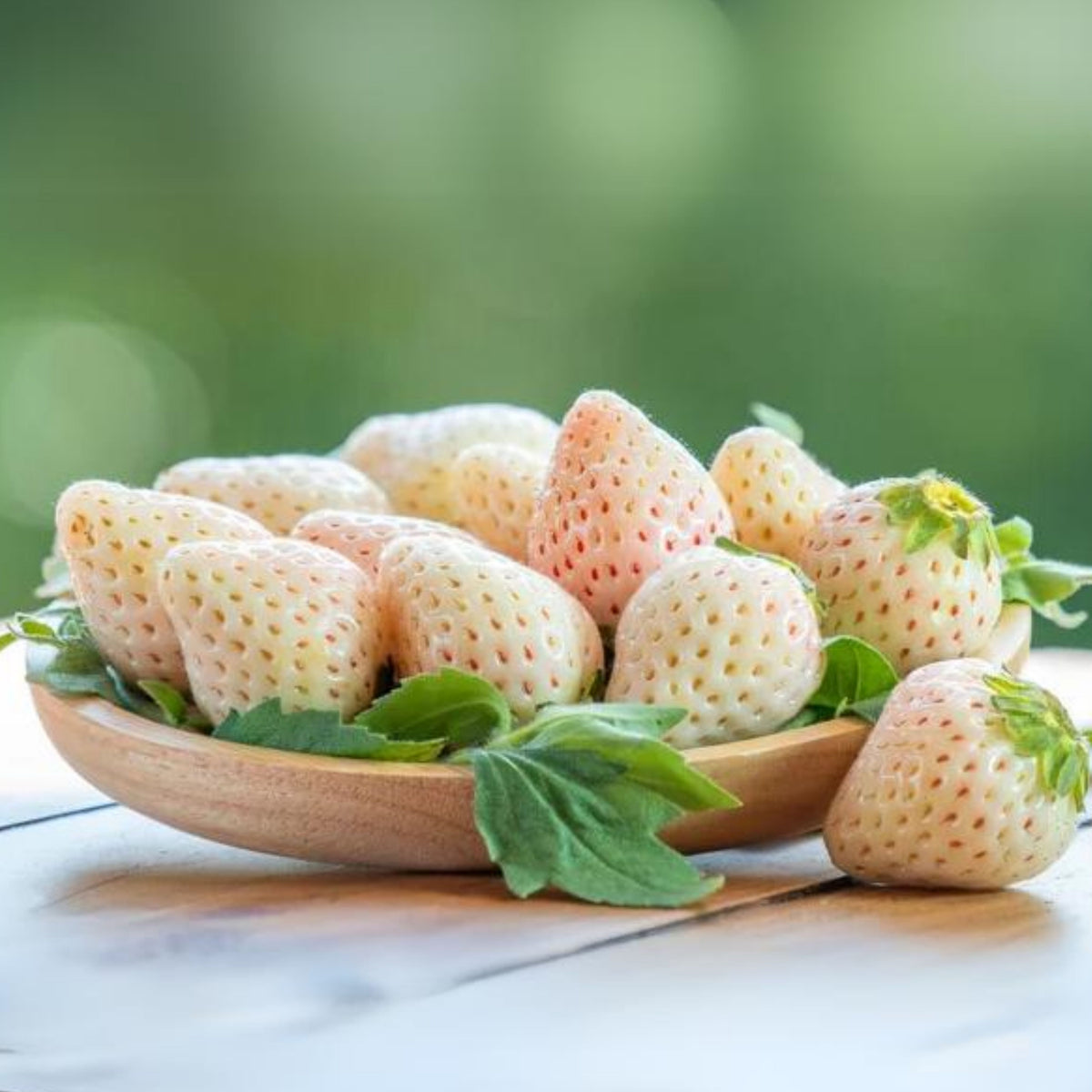 White Strawberry Seeds - Delicious Fruit, Perennial, 110 seeds