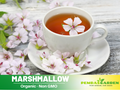 30 seeds|  Marshmallow Herb Seeds Althaea officinalis Perennial Medicinal Herb with Soft Pink Blooms for Tea Pollinator Friendly and Garden Borders  #6002