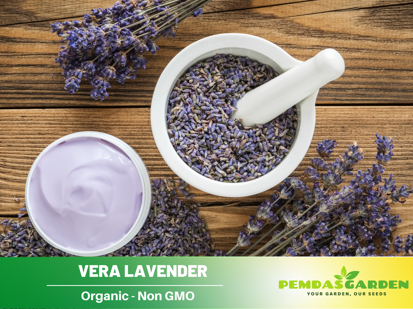 vera lavender seeds 155 seeds| Vera Lavender Herbs Seeds – Lavandula