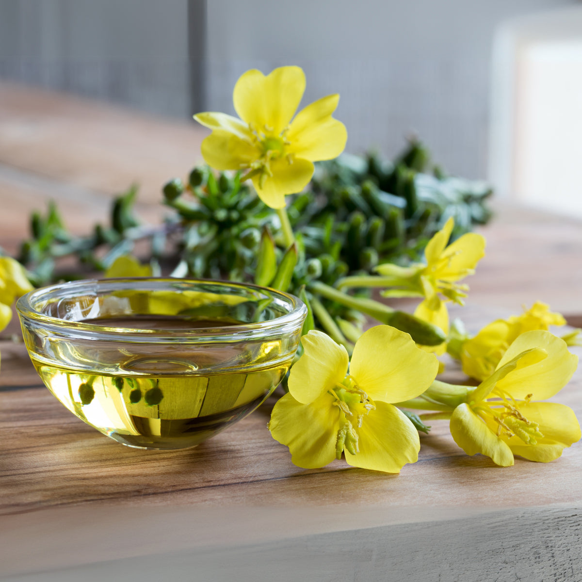 Evening Primrose Seeds - Oenothera Biennis, 110 seeds