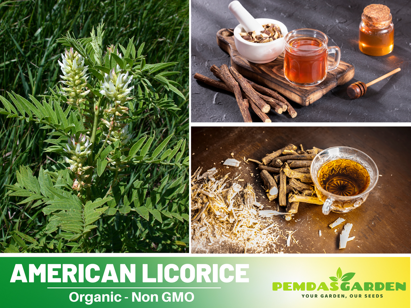 plant with licorice flavored seeds nyt 45 Seeds| American Licorice Seeds