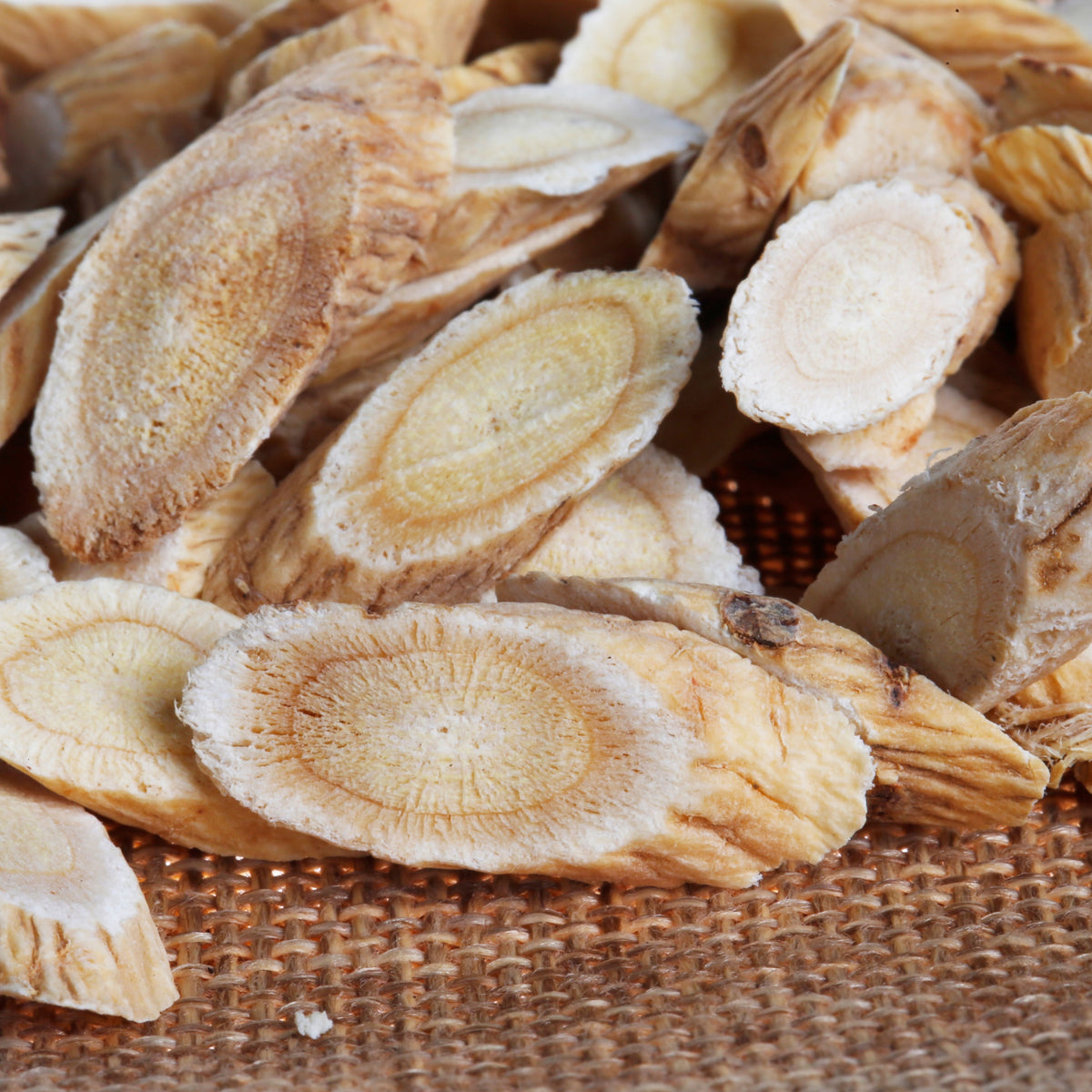 Huang Qi Seeds - Astragalus Membranaceus, Adaptogenic Root, 27 seeds