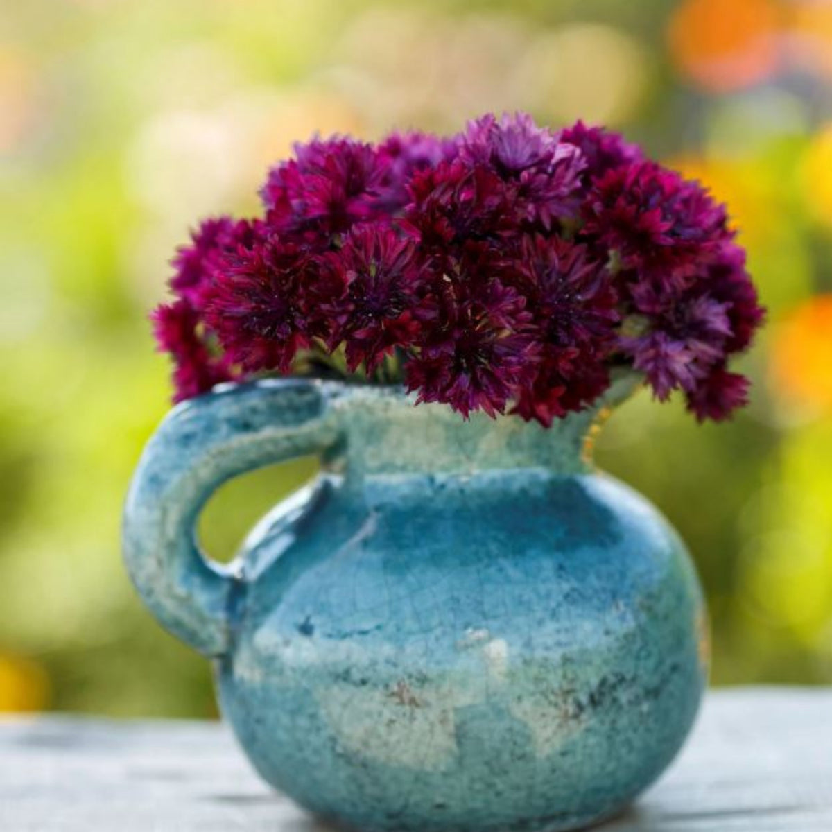 Black Bachelor’s Button Seeds - Cornflower Black Seeds, 30 seeds