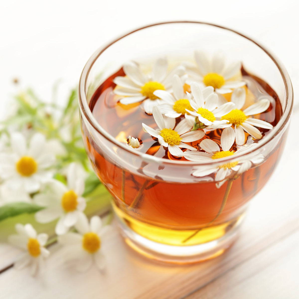 Chamomile Roman Flower Seeds - Perennial Medicinal Herb, 305 seeds