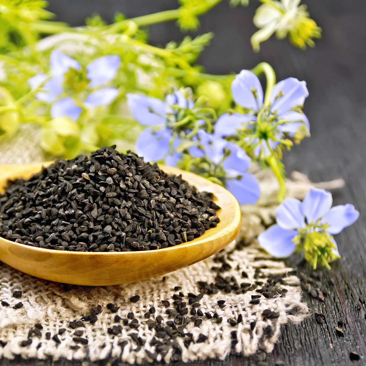 Black Cumin Seeds - Charnushska Nigella Sativa, 55 seeds