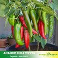 30 Seeds| Anaheim Chili Pepper Seeds – Capsicum annuum, Heirloom, Non-GMO, Mild Heat 500–1,000 SHU, High Yield, 7-Inch Peppers, Easy to Grow Warm Season Vegetable for Roasting, Stuffing, Salsa, and Fresh Cooking#6038