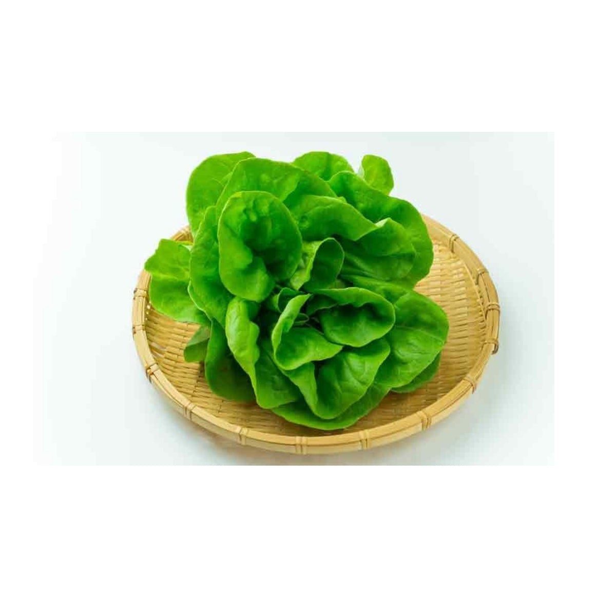 Parris Island Cos Romaine Lettuce Seeds - Lactuca Sativa, 500 seeds