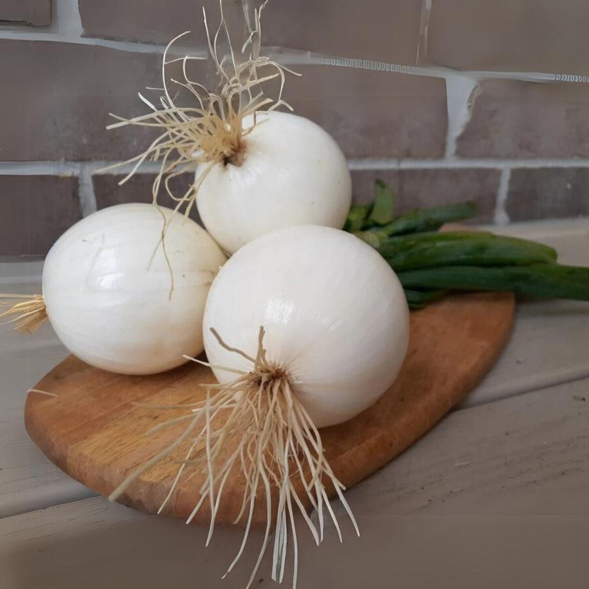 White Sweet Spanish Onion Seeds, 205 seeds