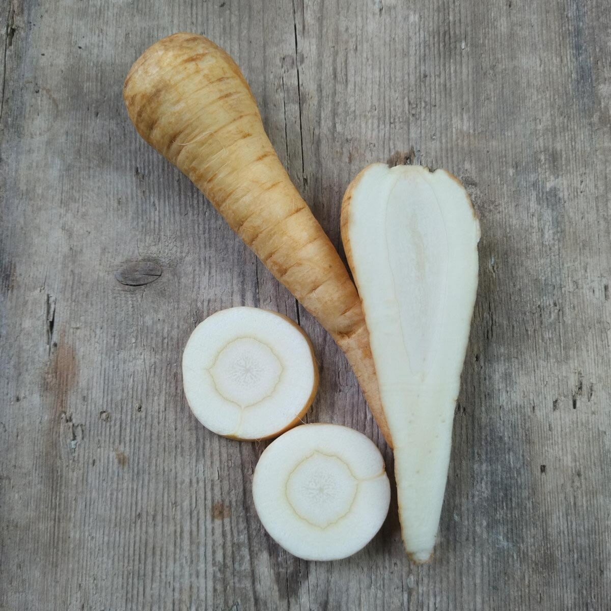 All American Parsnip Seeds, 35 seeds