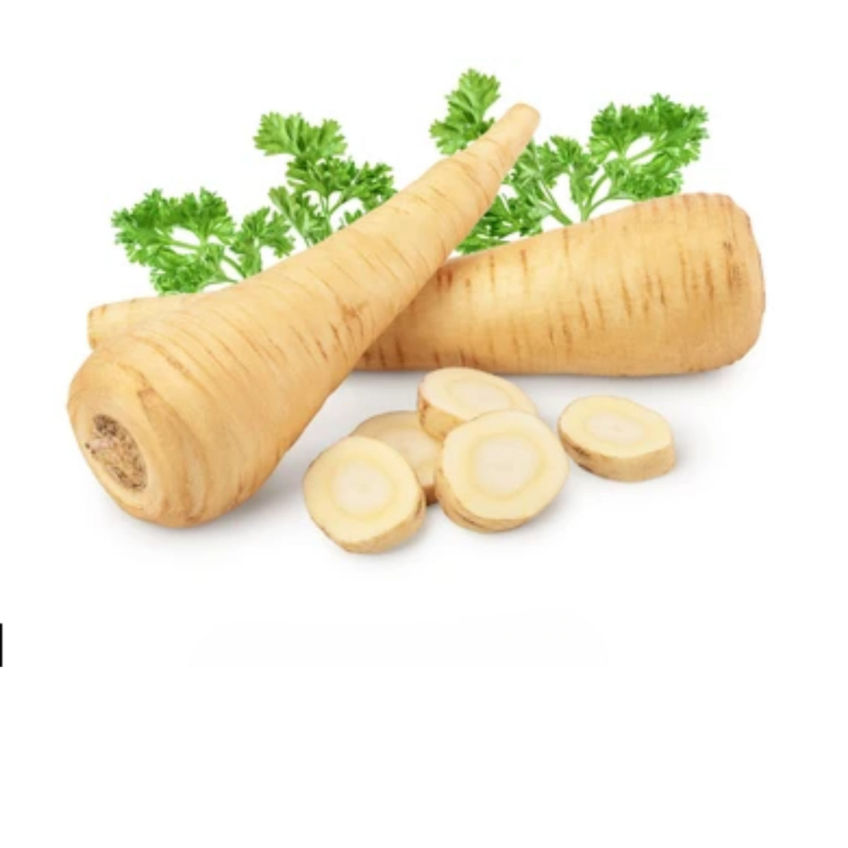 All American Parsnip Seeds, 35 seeds