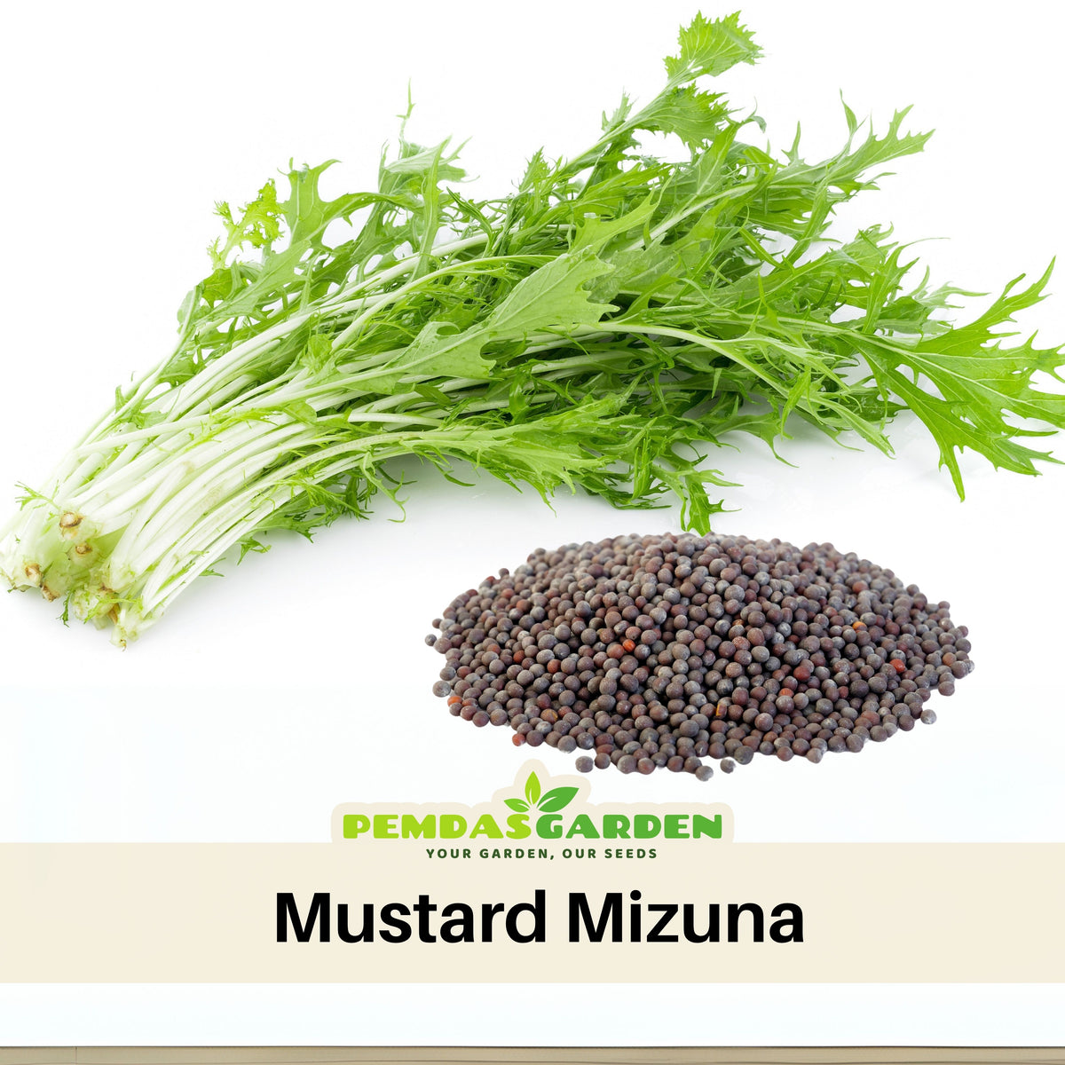 Mizuna Mustard Seeds, 210 seeds