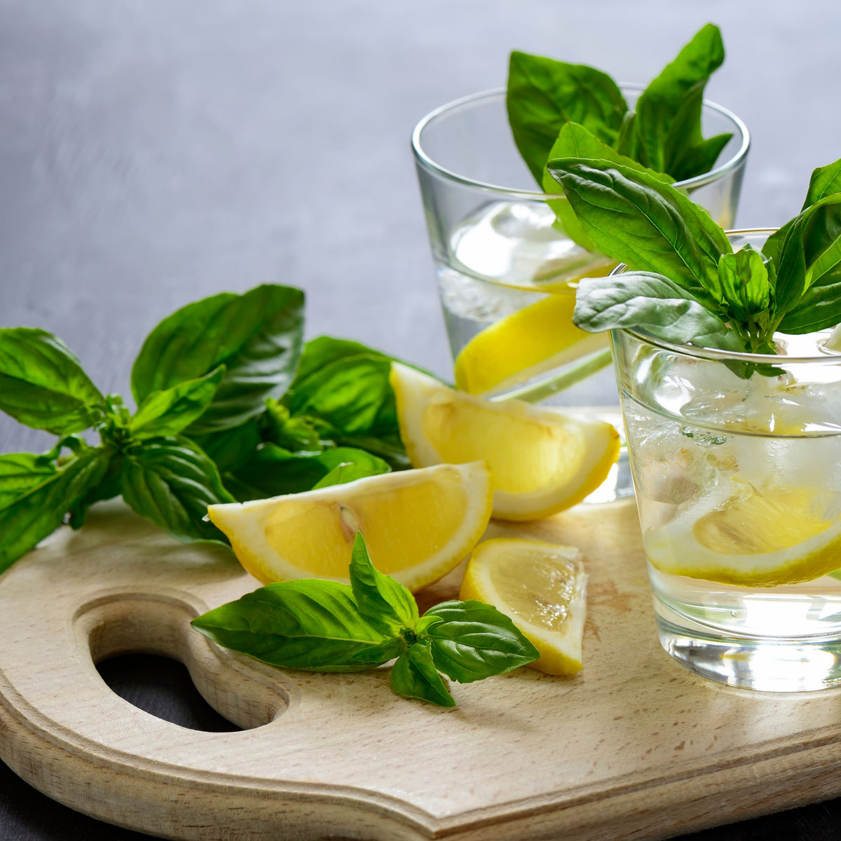 Lemon Basil Seeds Ocimum × Africanum Herb with Citrus, 110 seeds