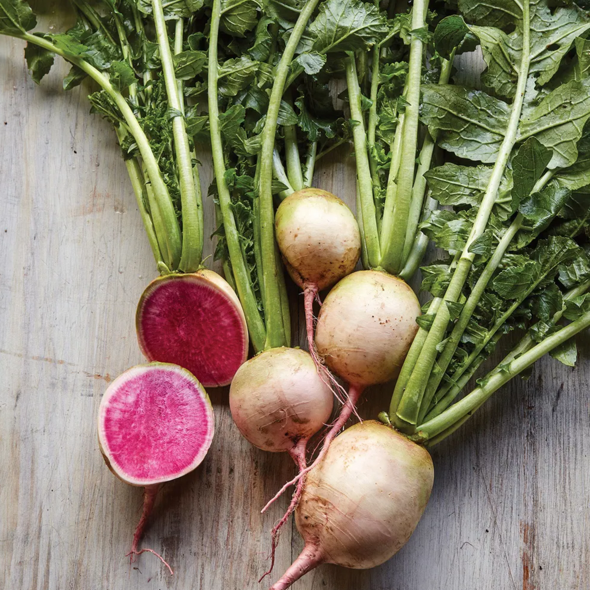110 Seeds| Red Radish Seeds Raphanus sativus Fast Growing Root Vegetable Crisp and Spicy Flavor Easy to Grow in Garden or Containers#7008