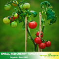 30 Seeds| Small Red Cherry Tomato Seeds - Lycopersicon esculentum Sweet Bite Size Tomatoes Easy to Grow Vegetable for Garden and Containers#7009