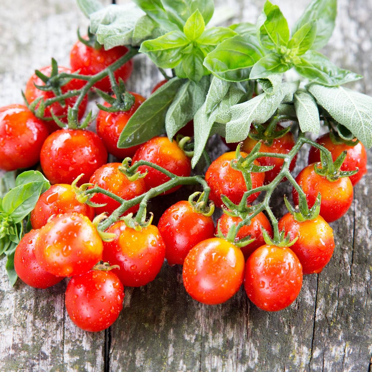 Small Red Cherry Tomato Seeds, 30 seeds
