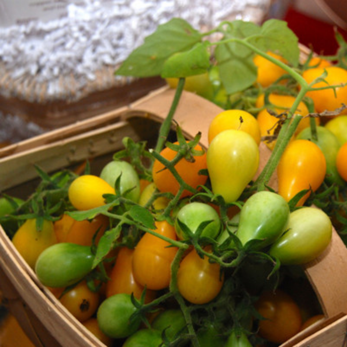 60 Seeds| Yellow Pear Tomato Seeds Heirloom Lycopersicon esculentum Small Pear Shaped Tomatoes Sweet Flavor Easy to Grow in Garden or Containers #7011