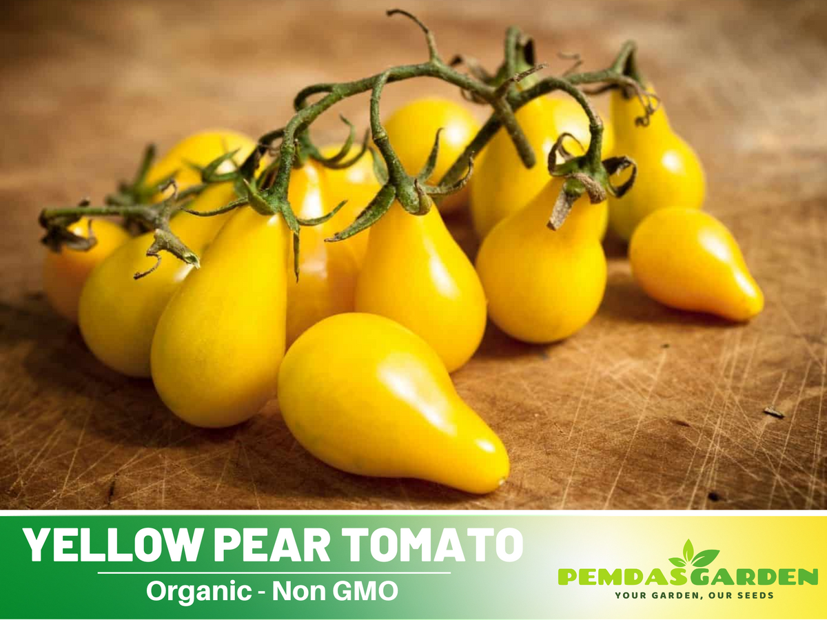 60 Seeds| Yellow Pear Tomato Seeds #7011