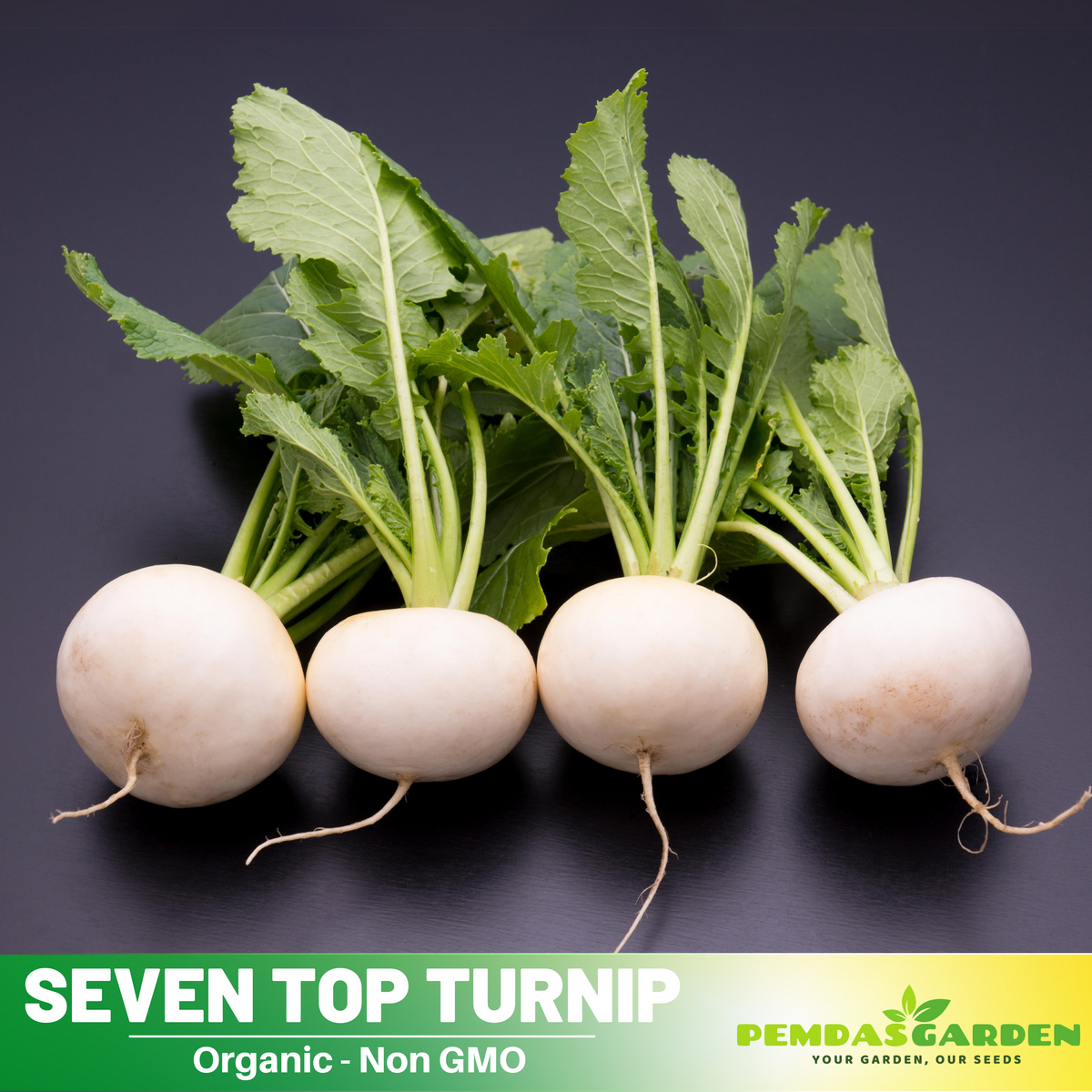 110 Seeds| Hailstone  Radish Seeds -Heirloom – Non-GMO – Fast Growing – Quick Harvest – Crisp Texture – Mild Flavor – Spring & Fall – Easy to Grow – Fresh Eating – Garden to Table#7017