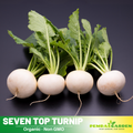 110 Seeds| Seven Top Turnip Seeds Heirloom Brassica rapa Leafy Green Tops for Cooking and Garden Greens Easy to Grow Cool Season Vegetable#7012