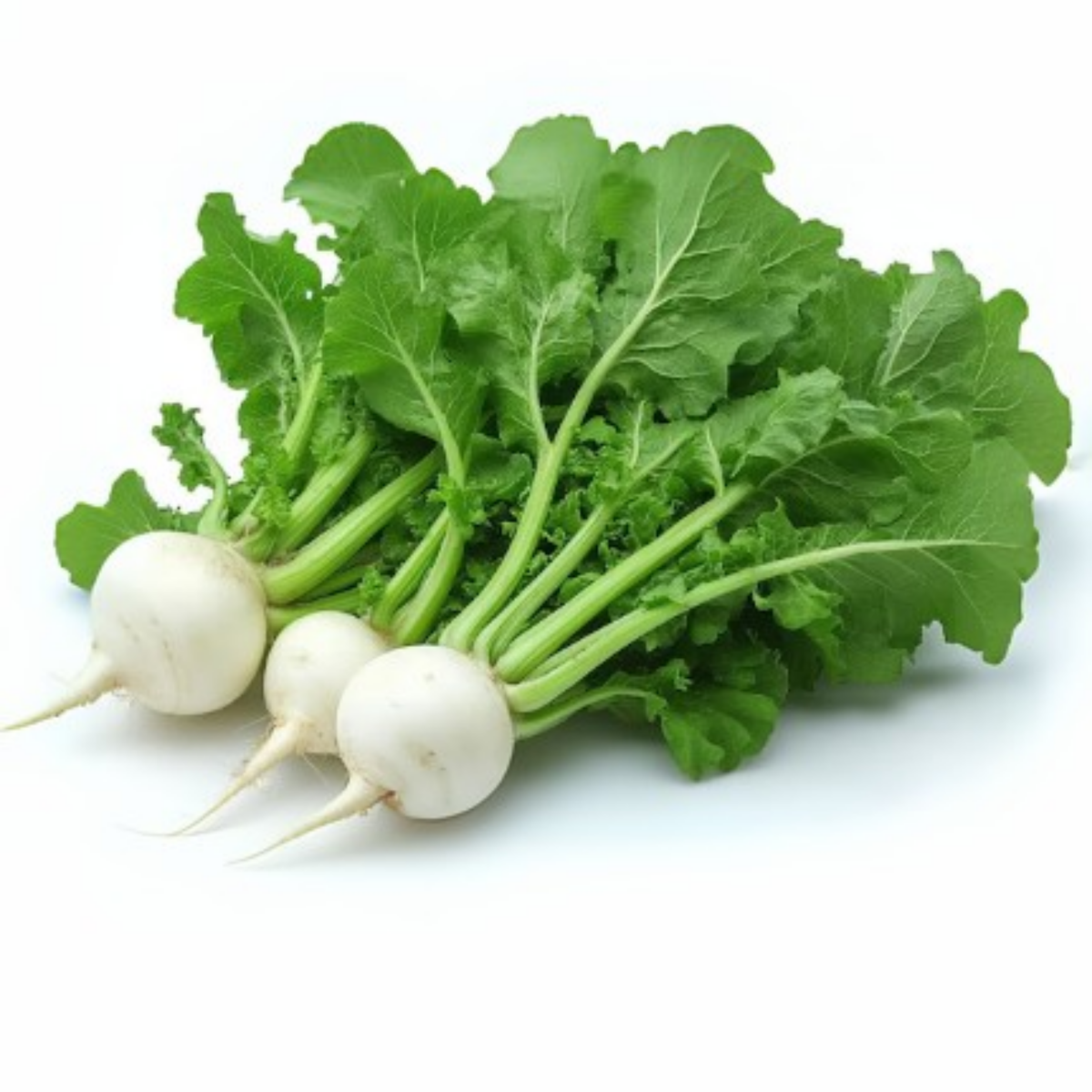 Seven Top Turnip Seeds Brassica Rapa Leafy Green Tops for, 110 seeds