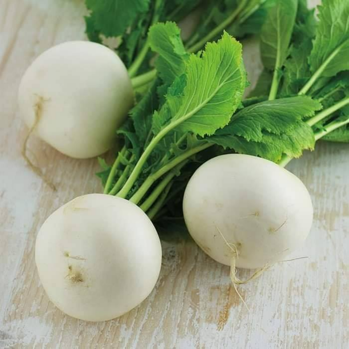 Seven Top Turnip Seeds Brassica Rapa Leafy Green Tops for, 110 seeds