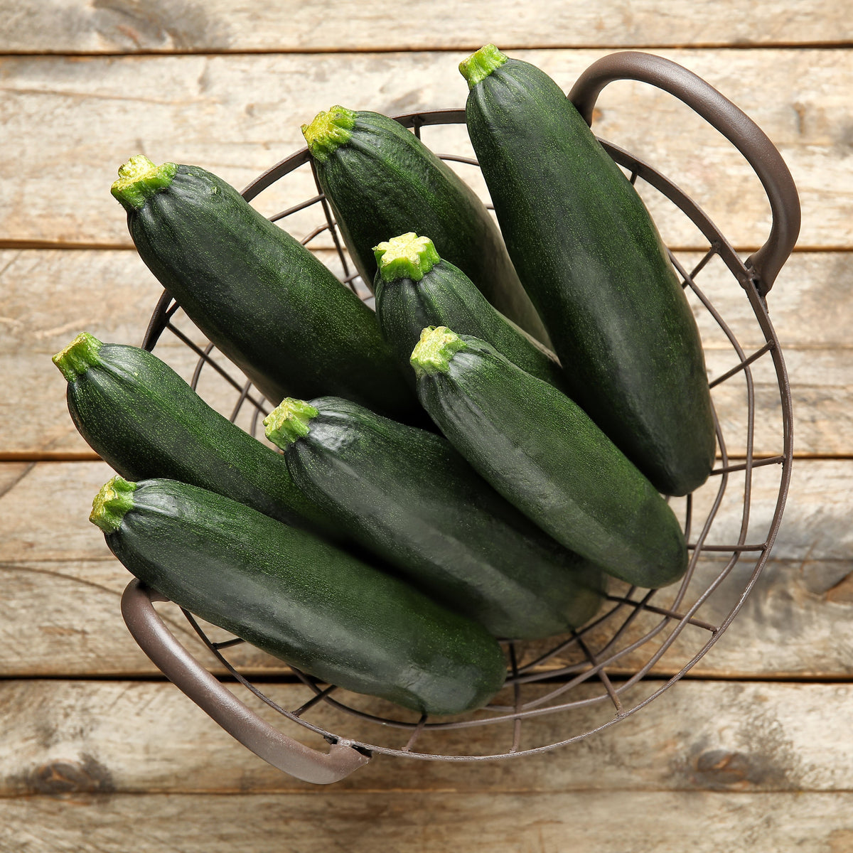 Zucchini Squash Seeds, 25 seeds