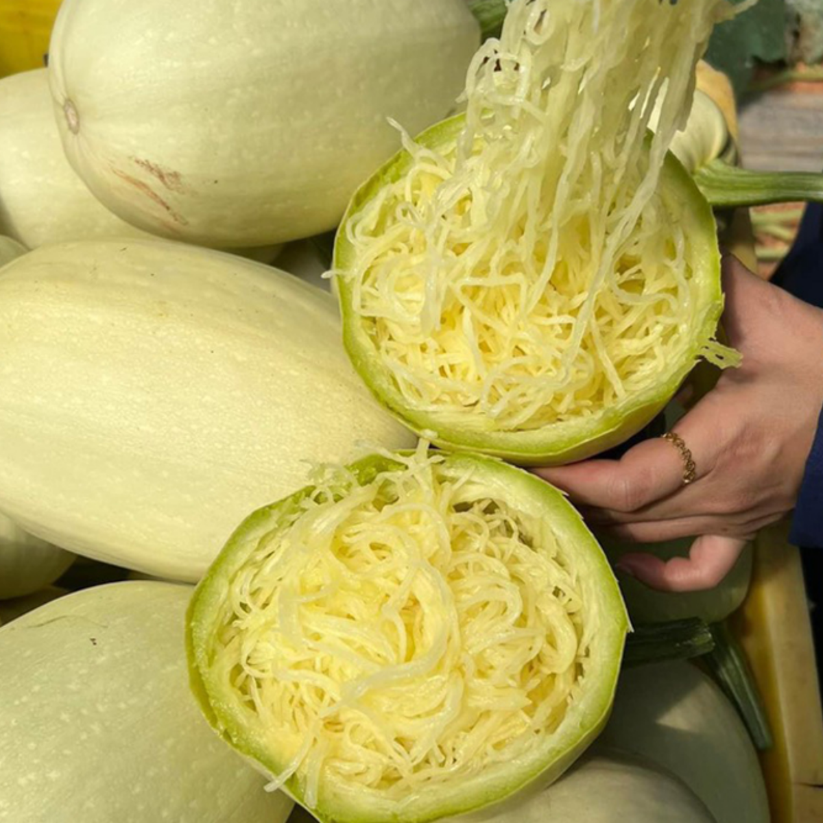 Spaghetti Winter Squash Seeds - Productive Vines, 25 seeds