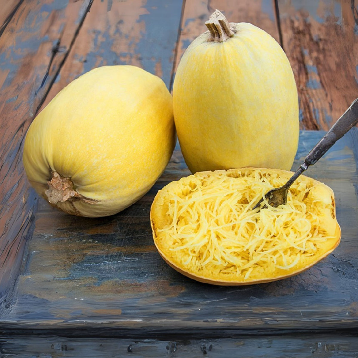 Spaghetti Winter Squash Seeds - Productive Vines, 25 seeds