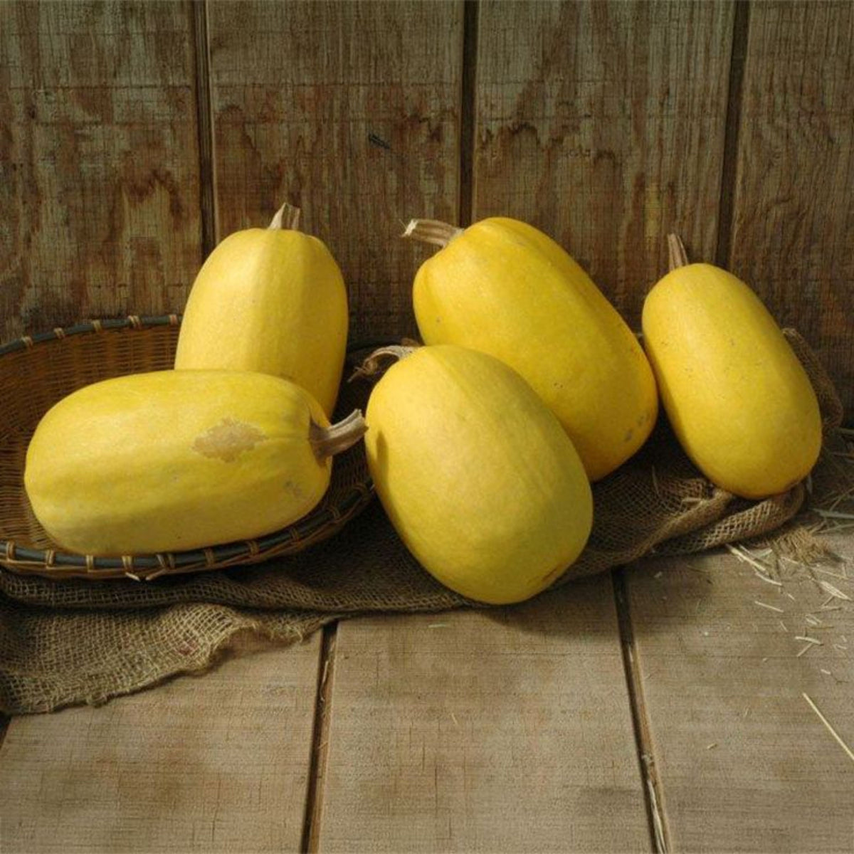 Spaghetti Winter Squash Seeds - Productive Vines, 25 seeds