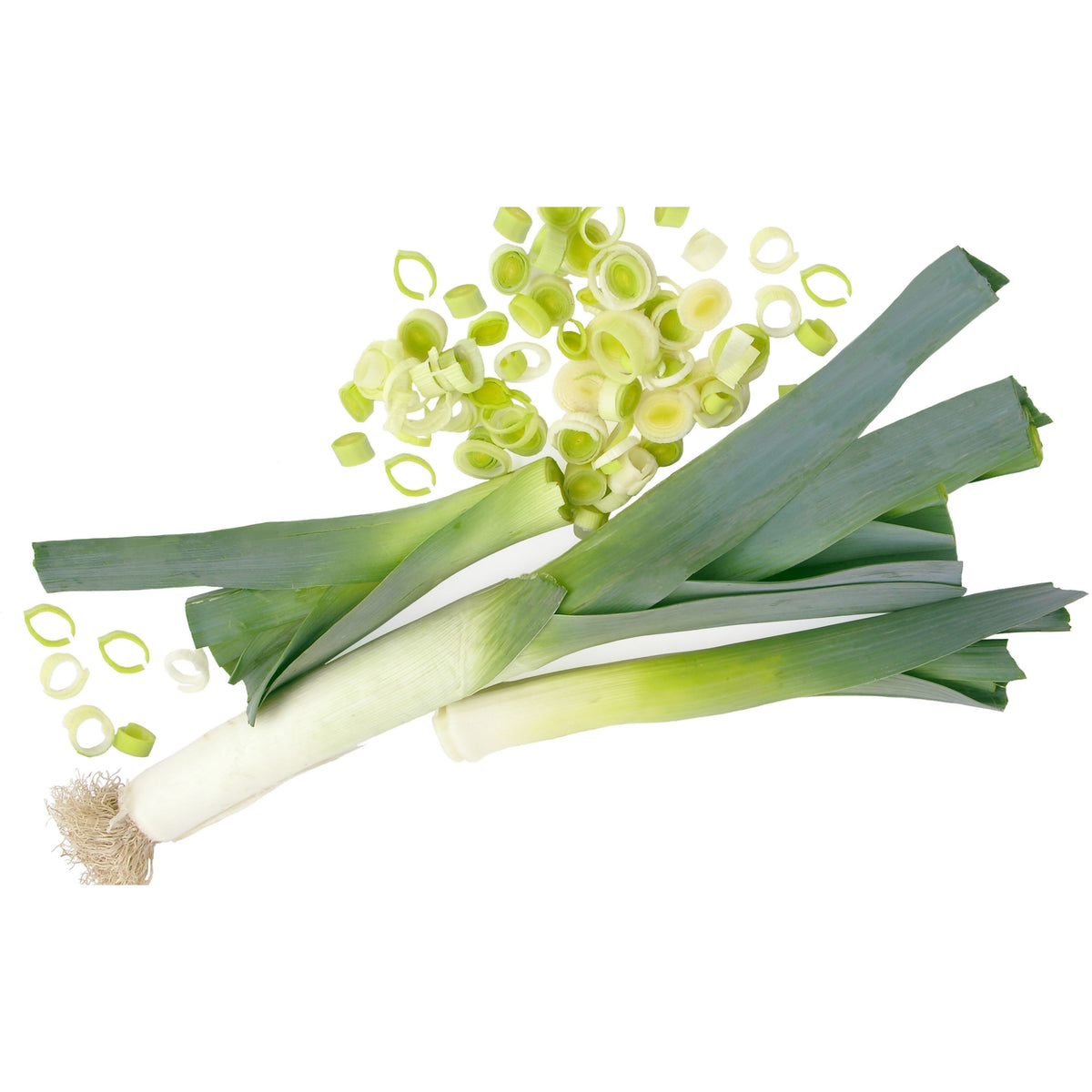 American Flag Leek Seeds - Giant Musselburgh, 210 seeds